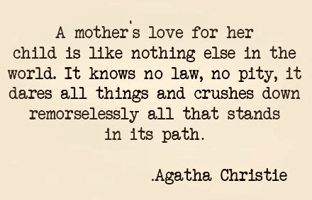 A Mother Love Quotes 14