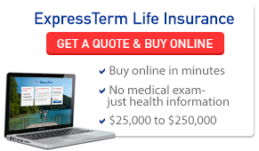 Aaa Life Insurance Quotes 10