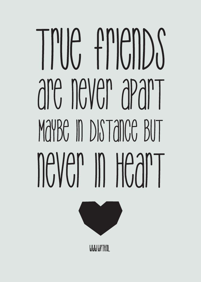 About Friendship Quotes 14