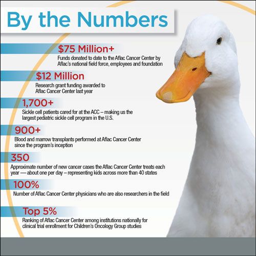 Aflac Life Insurance Quote 12