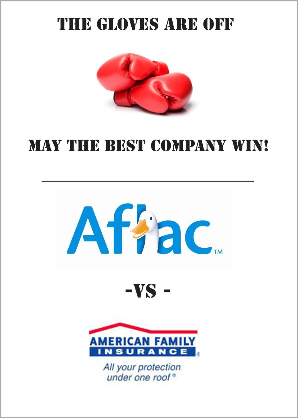 Aflac Life Insurance Quote 14