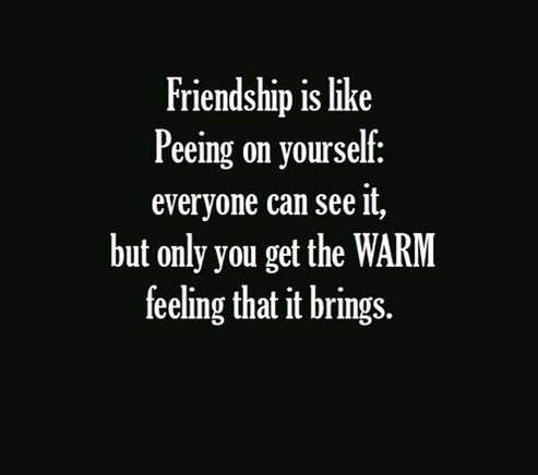 Amazing Quotes About Friendship 14