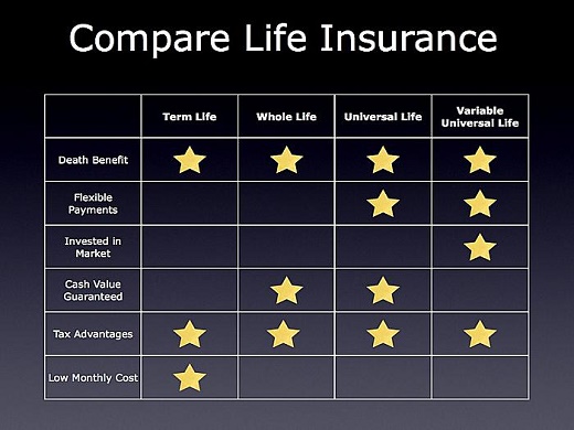 Best Term Life Insurance Quote 13