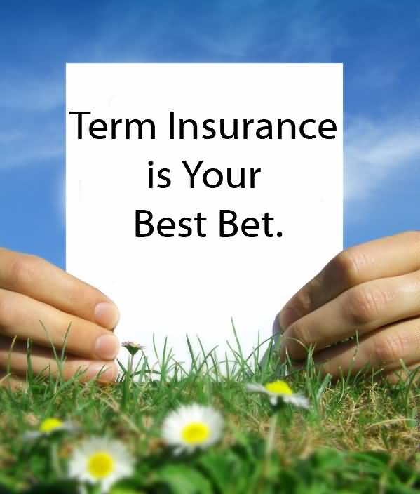 20 Best Term Life Insurance Quote and Sayings QuotesBae