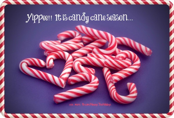 Candy Cane Quotes Meme Image 12