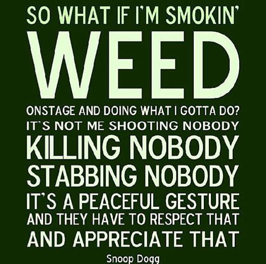 Cannabis Quotes And Sayings Meme Image 15