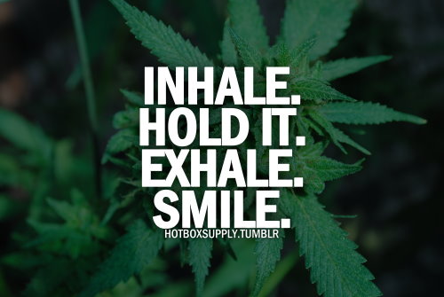 Cannabis Quotes And Sayings Meme Image 16