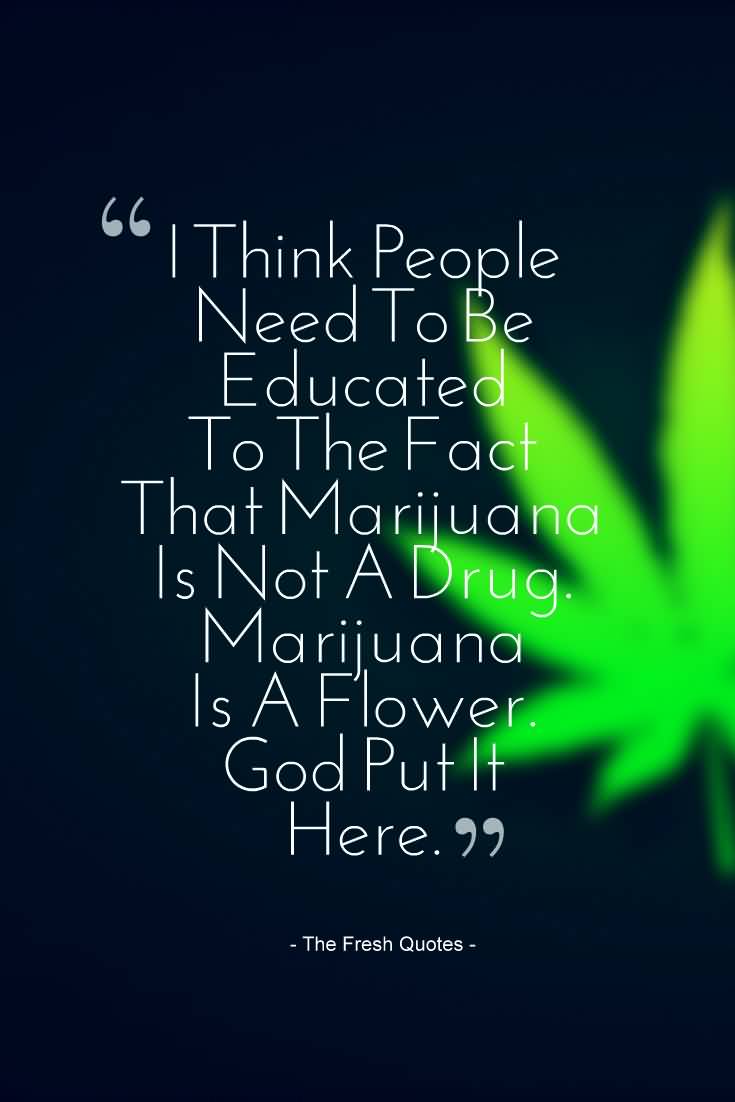 Cannabis Quotes And Sayings Meme Image 18
