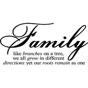 Family Reunion Sayings And Quotes Meme Image 06