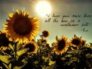 Famous Quotes About Sunflowers Meme Image 03