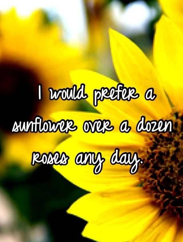 Famous Quotes About Sunflowers Meme Image 09