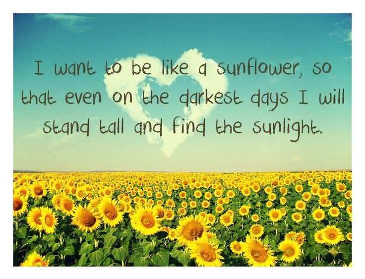 Famous Quotes About Sunflowers Meme Image 14