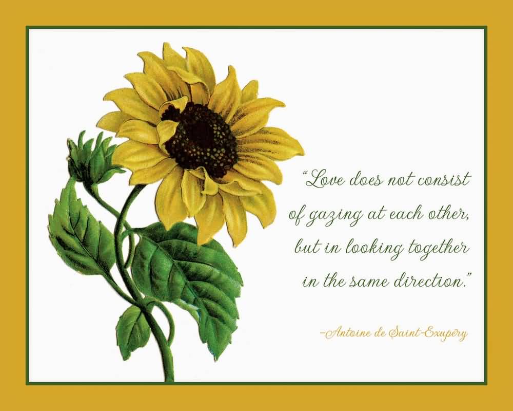 Famous Quotes About Sunflowers Meme Image 18