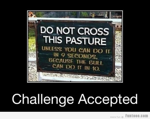 Funny Challenge Accepted Quotes Meme Image 05