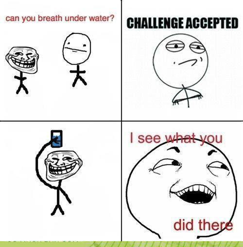 Funny Challenge Accepted Quotes Meme Image 08