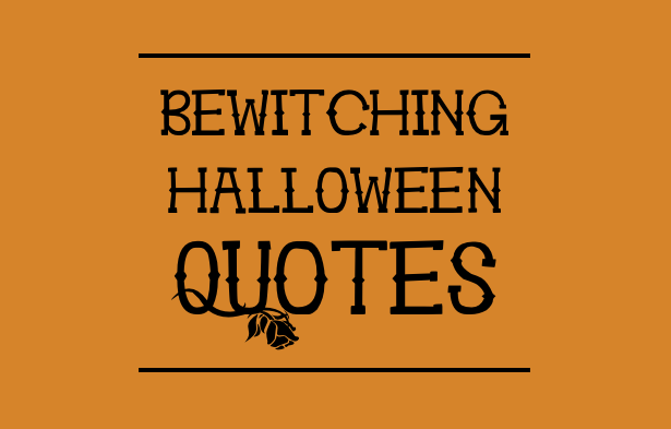 Funny Halloween Quotes Meme Image 01