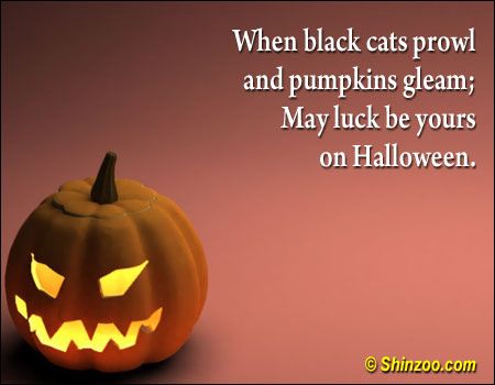 Funny Halloween Quotes Meme Image 03