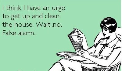 Funny House Cleaning Quotes Meme Image 04