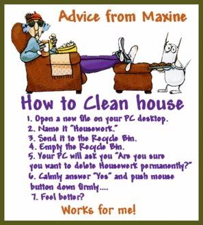 Funny House Cleaning Quotes Meme Image 05