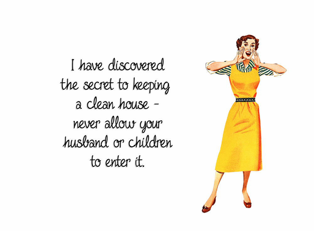 Funny House Cleaning Quotes Meme Image 20