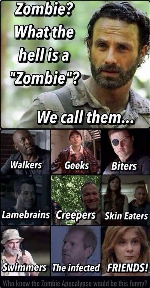 Funny Walking Dead Quotes Meme Image 14