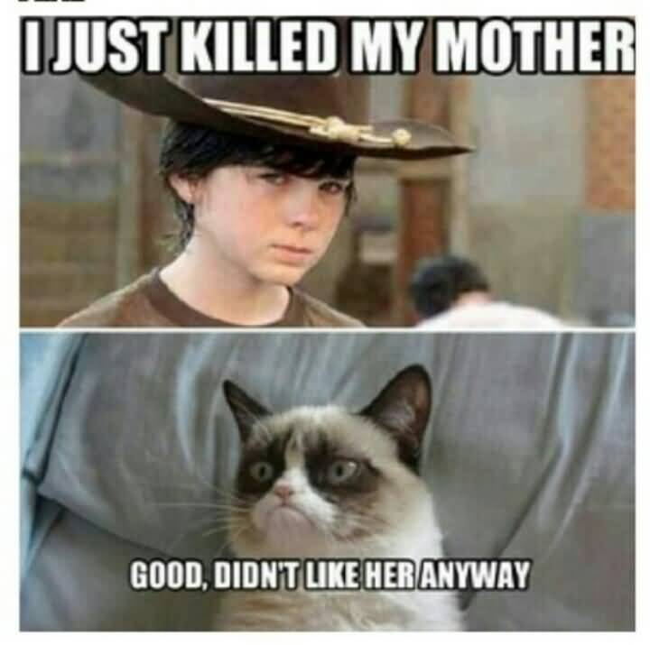 Funny Walking Dead Quotes Meme Image 15