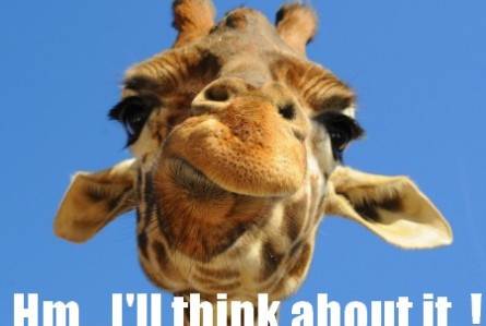 Giraffe Quotes Funny Meme Image 02