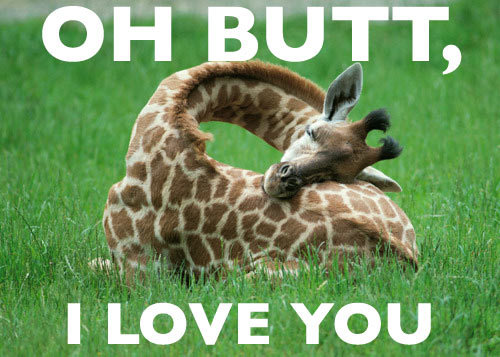 Giraffe Quotes Funny Meme Image 09