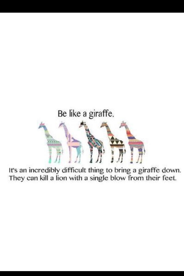 Giraffe Quotes Funny Meme Image 12