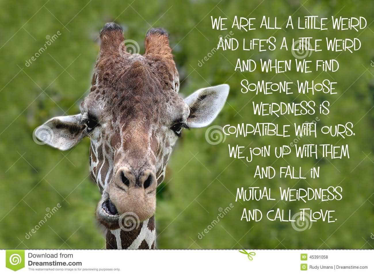 Giraffe Quotes Funny Meme Image 18