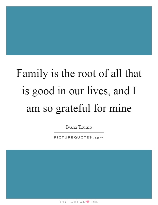 Grateful For Family Quotes Meme Image 13