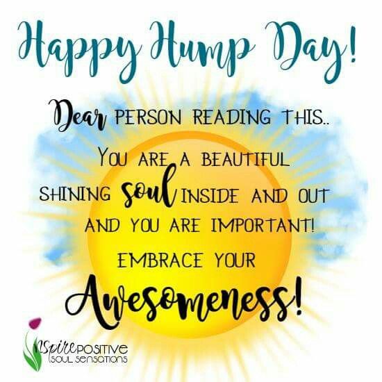 Happy Hump Day! Dear Person Reading This You Are A Beautiful Shining Soul Inside And Out And You Are Important Embrace Your Awesomeness