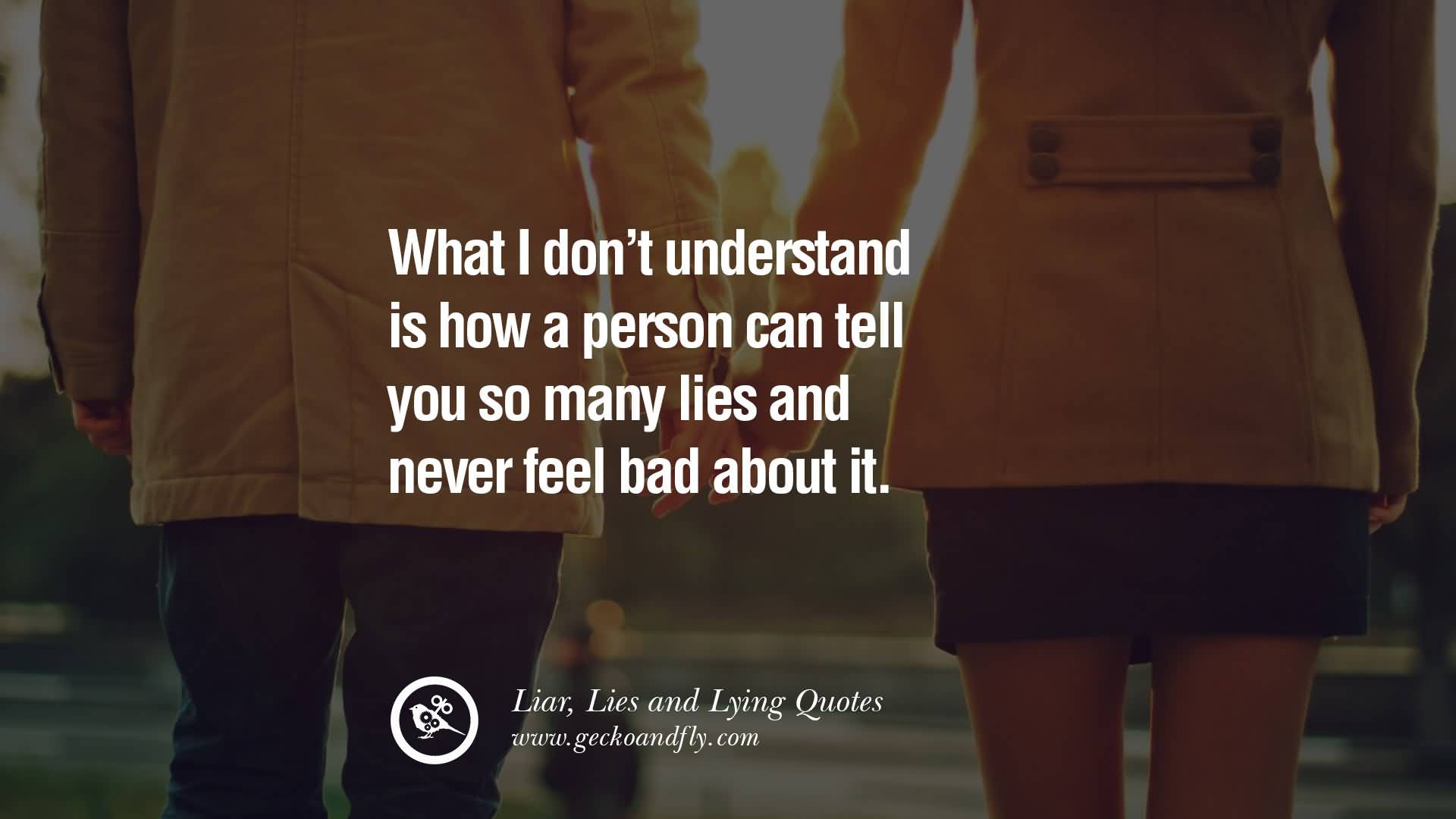 Hate Liars Quotes Meme Image 18