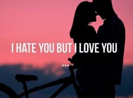 I Hate You But I Love You Quotes Meme Image 04