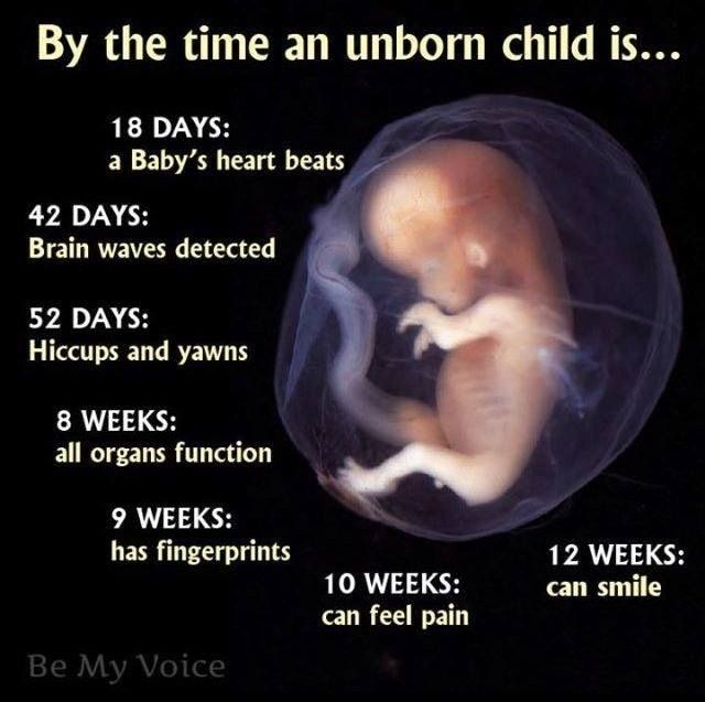 I Love My Unborn Daughter Quotes Meme Image 10
