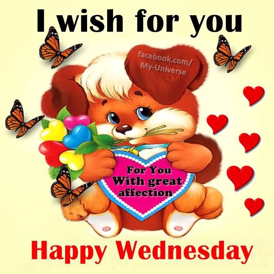 I Wish For You For You With Great Affection Happy Wednesday