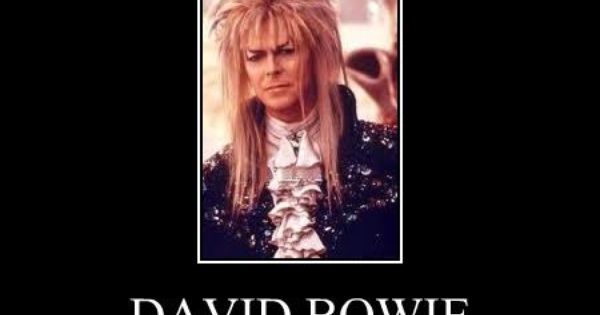 Labyrinth David Bowie Quotes Meme Image 04