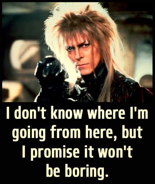 Labyrinth David Bowie Quotes Meme Image 11