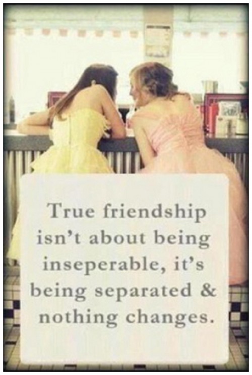 National Bestfriend Day Quotes Meme Image 14