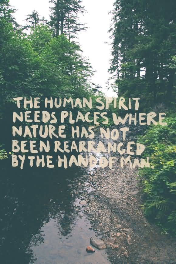 Nature Quotes Pinterest Meme Image 12