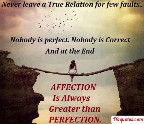 No One Is Perfect Quotes Meme Image 11