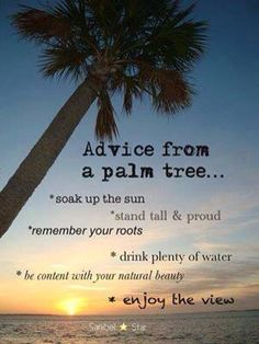 Palm Tree Quotes Meme Image 03
