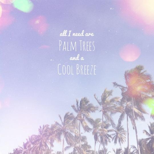 Palm Tree Quotes Meme Image 06