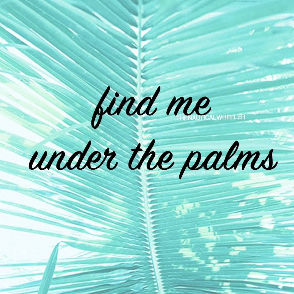 Palm Tree Quotes Meme Image 15
