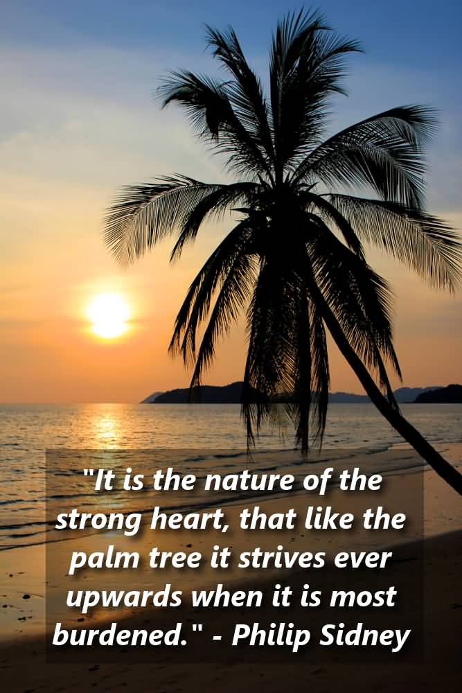 Palm Tree Quotes Meme Image 16
