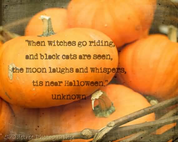 Pumpkin Picking Quotes Meme Image 09