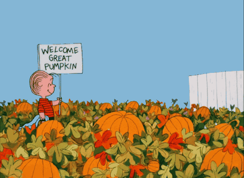 Pumpkin Picking Quotes Meme Image 19