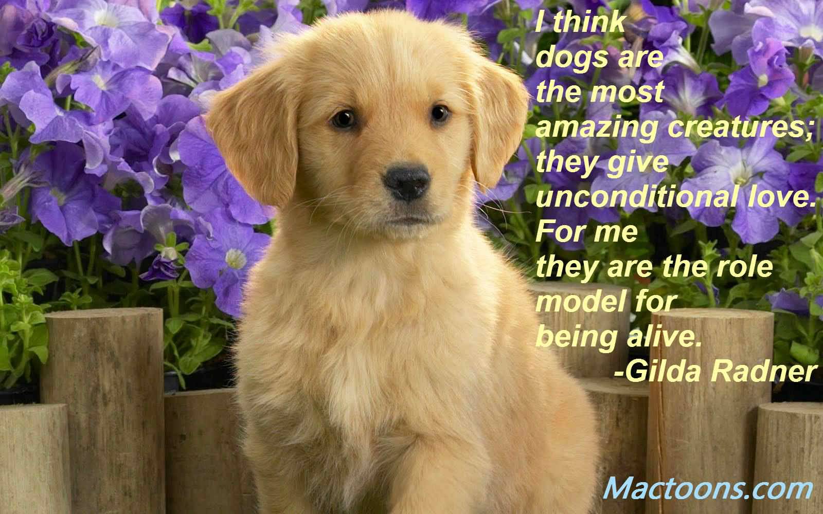 Puppy Love Quotes Meme Image 19