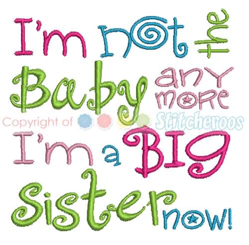 Quotes About Big Sisters Meme Image 16