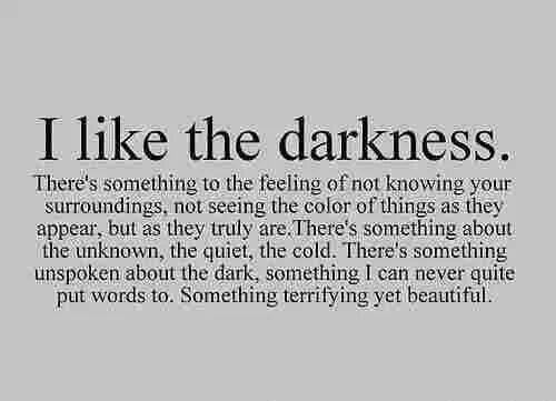 Quotes About Darkness Meme Image 03
